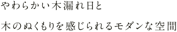 やわらかい⽊漏れ⽇と⽊のぬくもりを感じられるモダンな空間